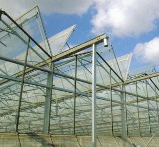 石家莊玻璃溫室與日光溫室大棚建設 農副產品高效生產的關鍵