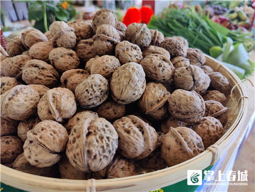 西山沃土結碩果，40種農副產品亮相團結街道招商引資推介會