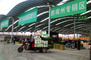 雙龍農副產品交易中心蔬菜交易區試運營，暢通黔貨出山新通道
