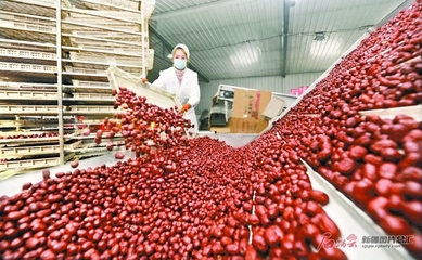 新疆扎實(shí)做好鄉(xiāng)村振興大文章 產(chǎn)業(yè)興、鄉(xiāng)村美、農(nóng)民富，農(nóng)副產(chǎn)品發(fā)展譜新篇