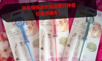 撫順寵物用品批發零售指南 從食品到用品的全面采購攻略